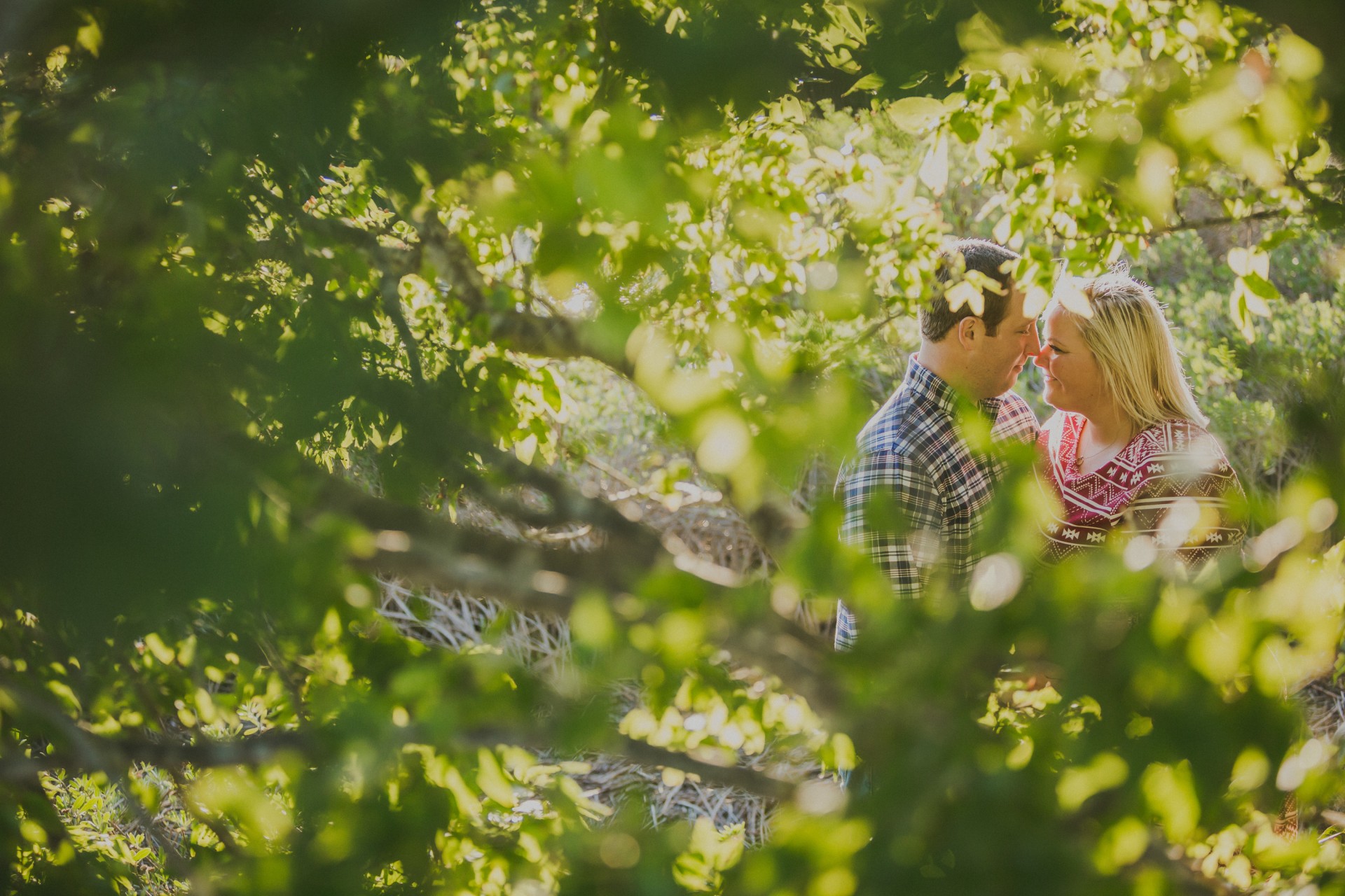 pittstreetengagement (17)